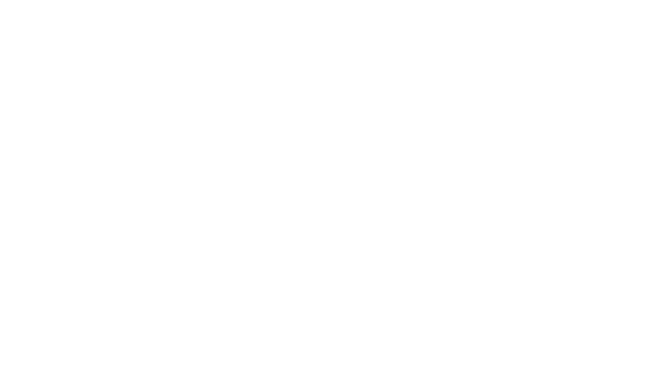 bykski white logo
